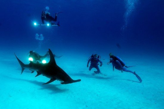 Around the hammerhead