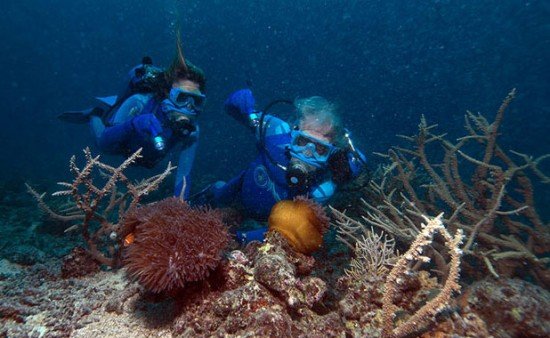 olly&cousteau