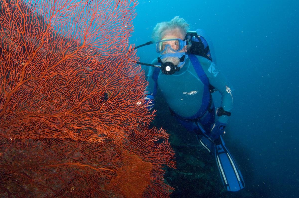 Jean-Michel Cousteau's Secret Ocean 3D | The ocean as never