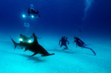 Around the hammerhead
